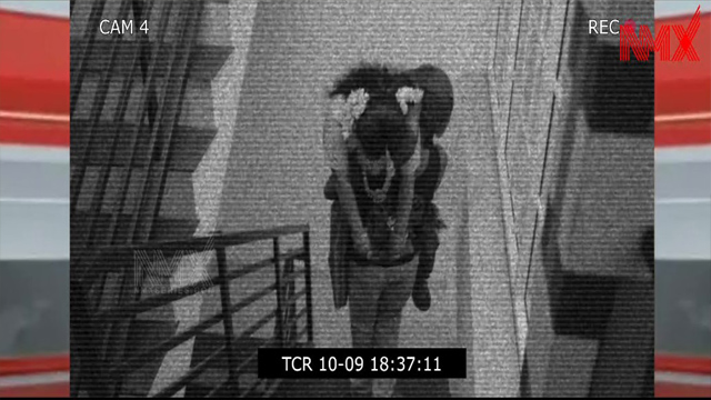 Bad Chemist Roy Ep 1 – 2025 Malayalam Latest Web – Nmxseries Nila Nambiar Viral